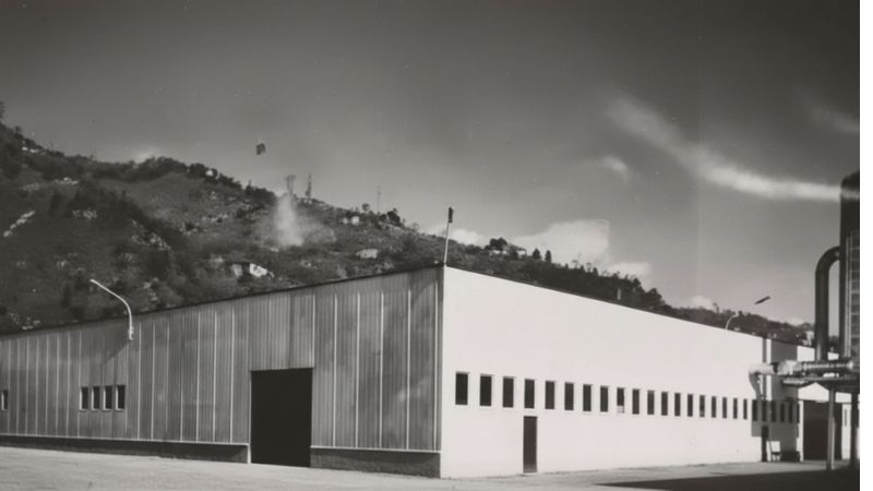 Learn about Minelli Group, a leader in wood-based solutions with a focus on sustainability, quality, and innovation. Contact us for custom products.